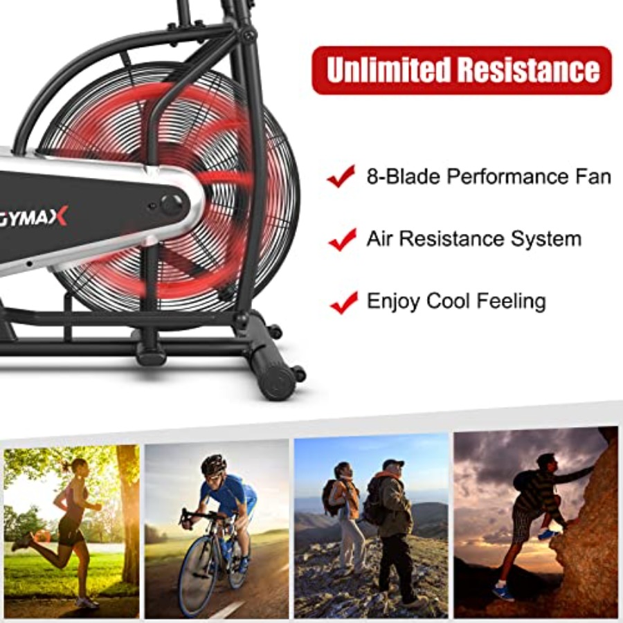 Heimfitness-Cardio-Training: V – Phone Holder Bewertung und Preis